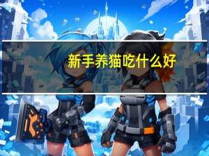 新手养猫吃什么好