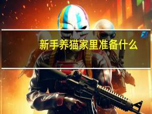 新手养猫家里准备什么