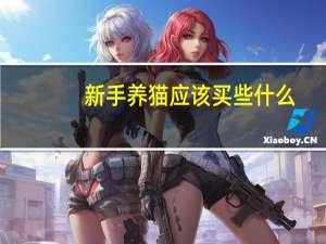 新手养猫应该买些什么