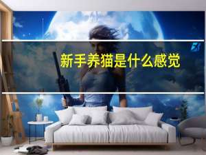 新手养猫是什么感觉