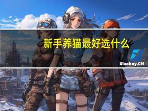 新手养猫最好选什么