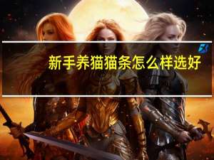 新手养猫猫条怎么样选好