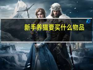 新手养猫要买什么物品