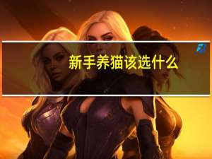 新手养猫该选什么