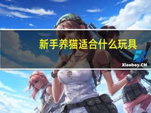 新手养猫适合什么玩具