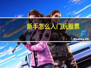 新手怎么入门玩股票