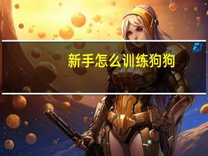 新手怎么训练狗狗