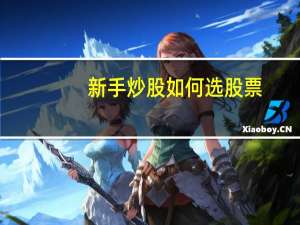 新手炒股如何选股票