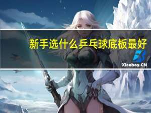 新手选什么乒乓球底板最好