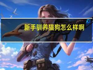 新手驯养猫狗怎么样啊