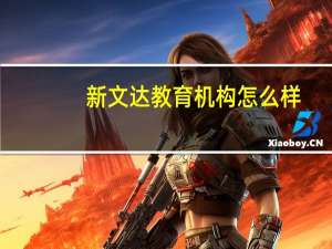 新文达教育机构怎么样