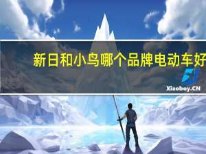 新日和小鸟哪个品牌电动车好（哪个品牌电动车好）