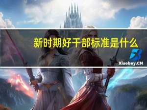 新时期好干部标准是什么（新时期好干部标准）
