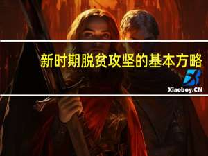 新时期脱贫攻坚的基本方略