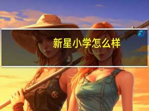 新星小学怎么样