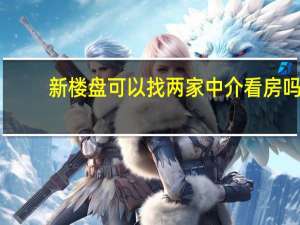 新楼盘可以找两家中介看房吗