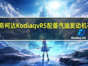 新款斯柯达KodiaqvRS配备汽油发动机在英国发售