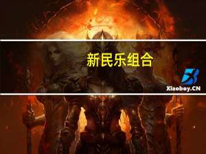 新民乐组合（关于新民乐组合的介绍）