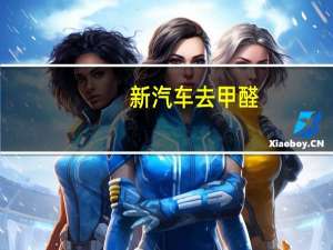 新汽车去甲醛