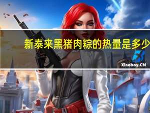 新泰来 黑猪肉粽的热量是多少
