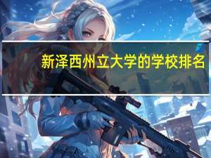 新泽西州立大学的学校排名