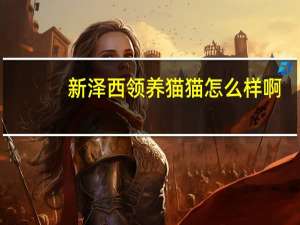 新泽西领养猫猫怎么样啊