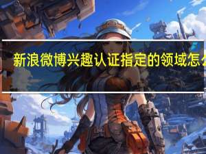 新浪微博兴趣认证 指定的领域怎么弄