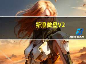 新浪微盘 V2.5.2 官方电脑版（新浪微盘 V2.5.2 官方电脑版功能简介）