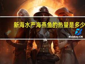 新海水产 海燕鱼的热量是多少
