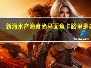 新海水产 海食尚马面鱼卡路里是多少