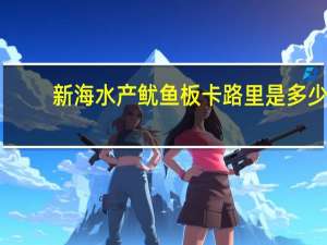 新海水产 鱿鱼板卡路里是多少