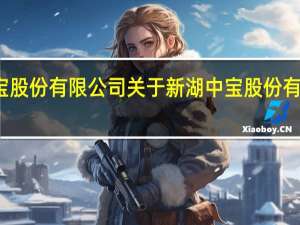 新湖中宝股份有限公司 关于新湖中宝股份有限公司的介绍