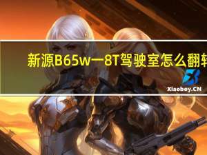 新源B65w一8T驾驶室怎么翻转