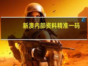 新澳内部资料精准一码_最佳选择_V05.18.44