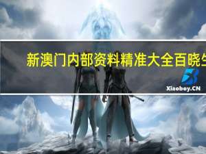 新澳门内部资料精准大全百晓生_精彩对决解析_V66.91.31