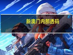 新澳门内部透码：通俗的AI解释解答-1411.3D.A260