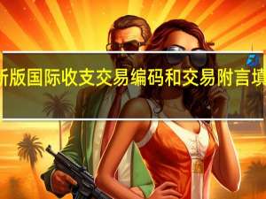 新版国际收支交易编码和交易附言填写指引
