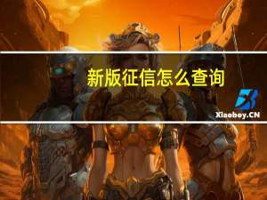 新版征信怎么查询