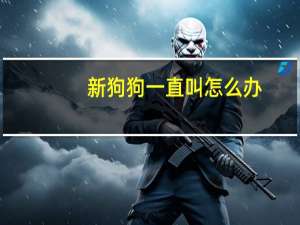 新狗狗一直叫怎么办