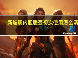 新玻璃内胆暖壶初次使用怎么清洗
