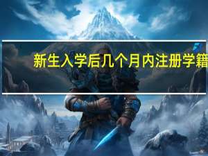 新生入学后几个月内注册学籍