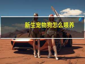 新生宠物狗怎么喂养