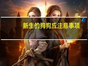 新生的狗狗应注意事项