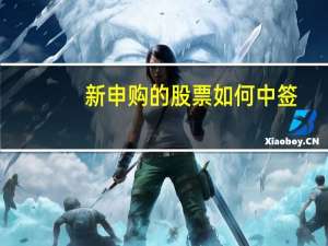 新申购的股票如何中签