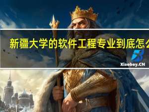 新疆大学的软件工程专业到底怎么样