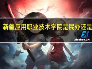 新疆应用职业技术学院是民办还是公办
