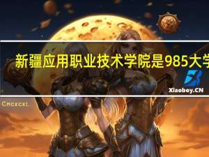 新疆应用职业技术学院是985大学吗