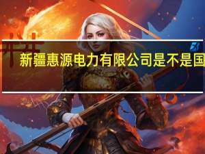 新疆惠源电力有限公司是不是国企