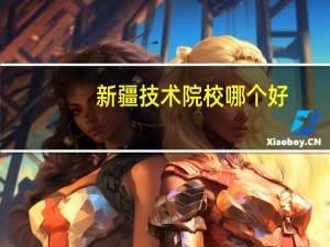 新疆技术院校哪个好