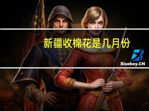 新疆收棉花是几月份
